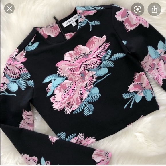 NWT Elizabeth and James Polly Floral Crop Top - Picture 1 of 4